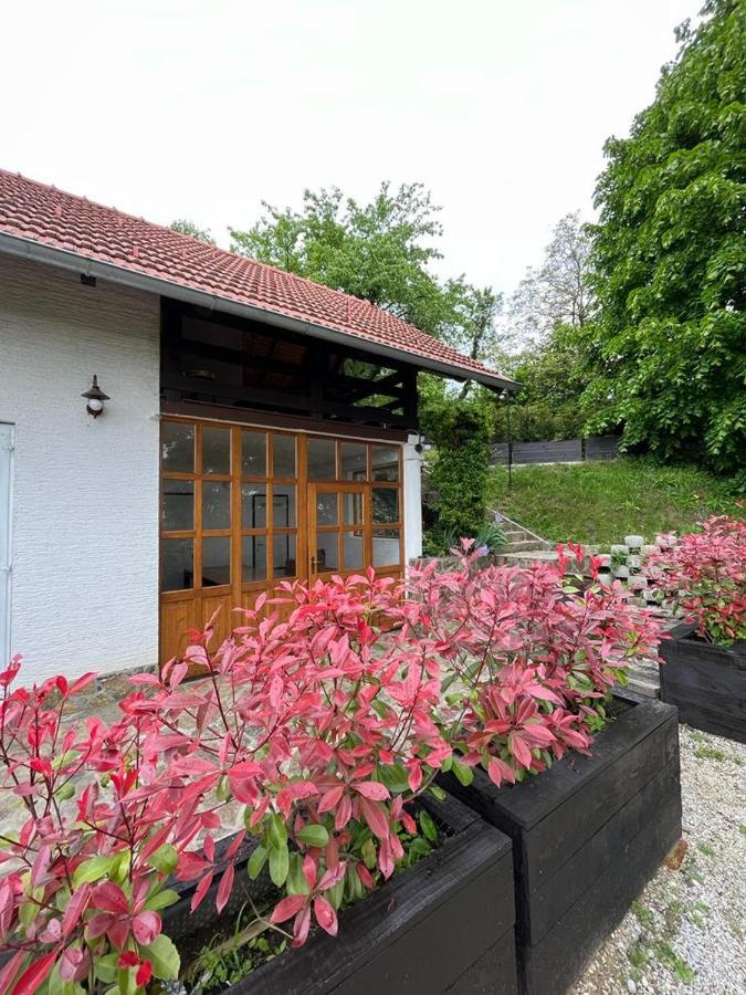 Cesargradska Klet Apartment Tuhelj Exterior photo